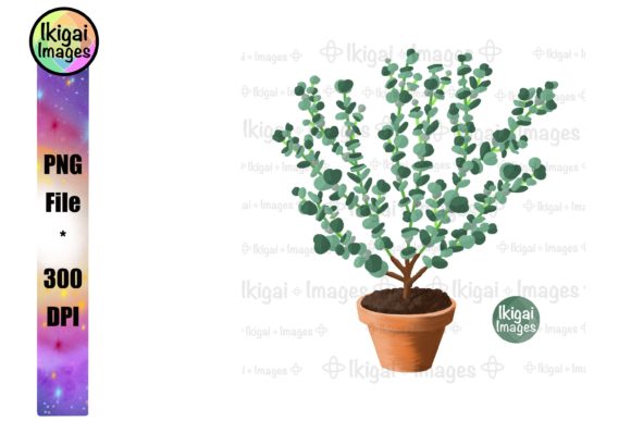 Download Eucalyptus, Potted Plant, Greenery, PNG - Green Collection
