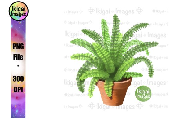 Download Fern, Potted Plant, Greenery, PNG File - Green Collection