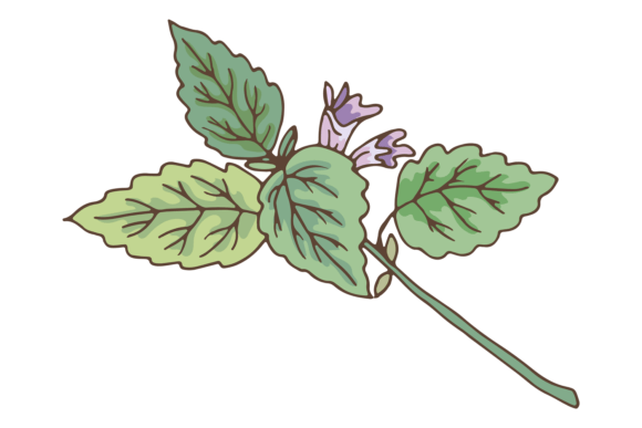 Download Green Leaves Branch with Violet Flower - Green Collection