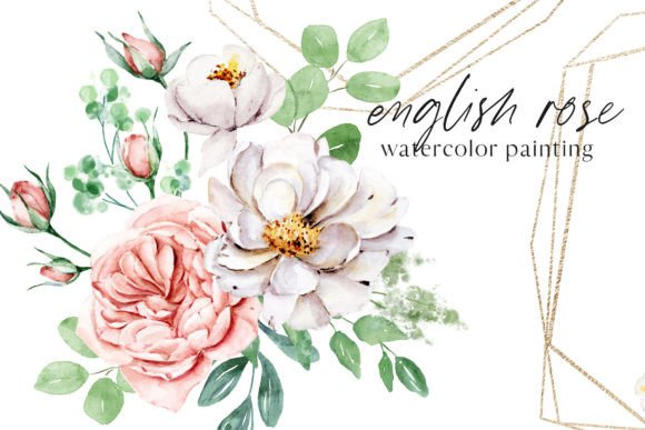Download Watercolor Flower Set English Rose. - Watercolor flower set Collection
