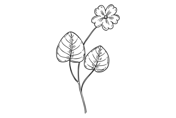 Download Violet Flower Drawing. WIld Meadow Plant - Meadow Collection