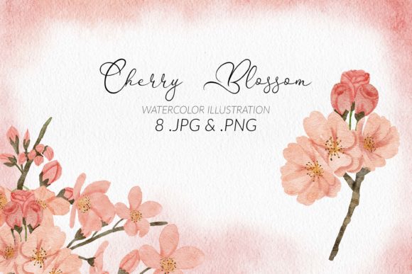 Download Cherry Blossom Watercolor Flower Set - Watercolor flower set Collection