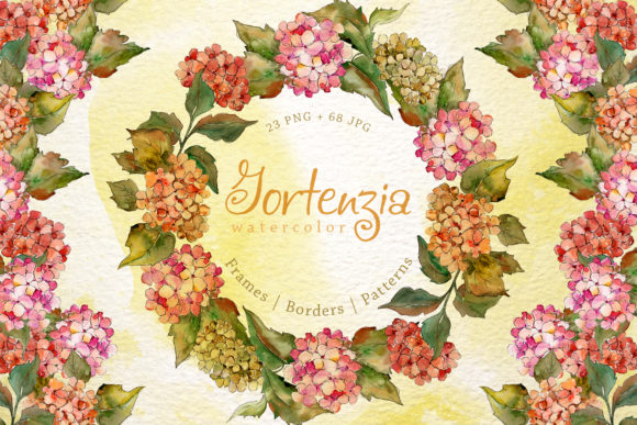 Download Gortenzia Watercolor Flower Set - Watercolor flower set Collection